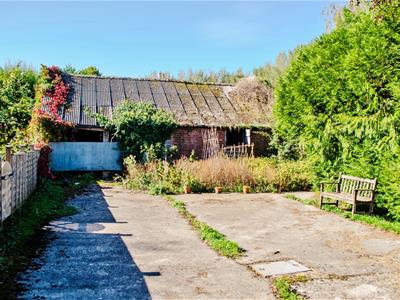 barn.jpg